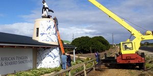 Gansbaai APSS se Groot Opgewondenheid 5